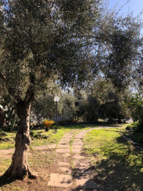 Casa Vacanza L'ulivo Paternò